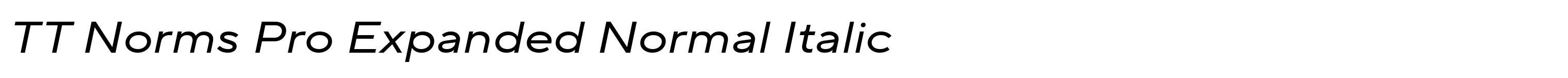TT Norms Pro Expanded Normal Italic